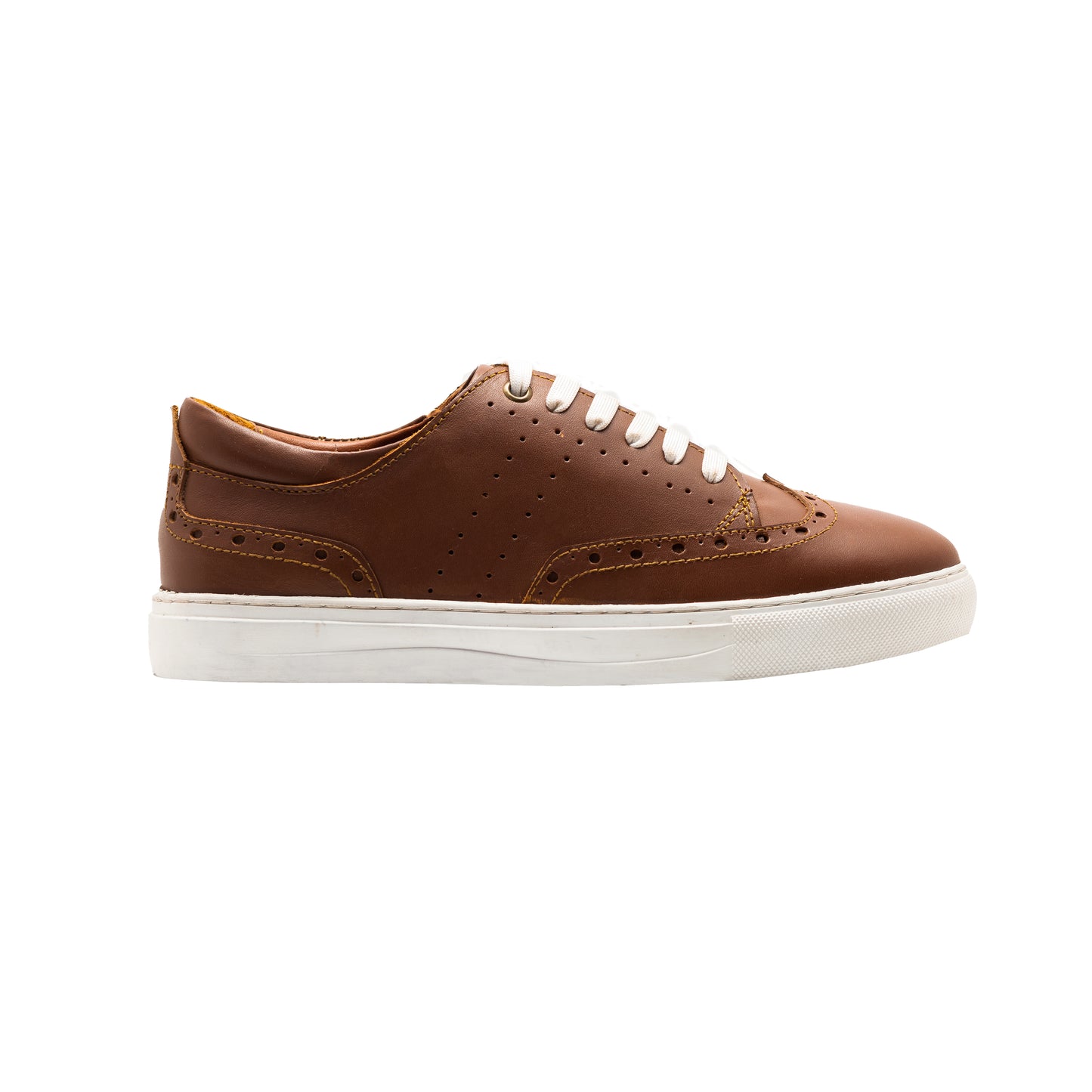 Brogue Sneaker HAVAN M531