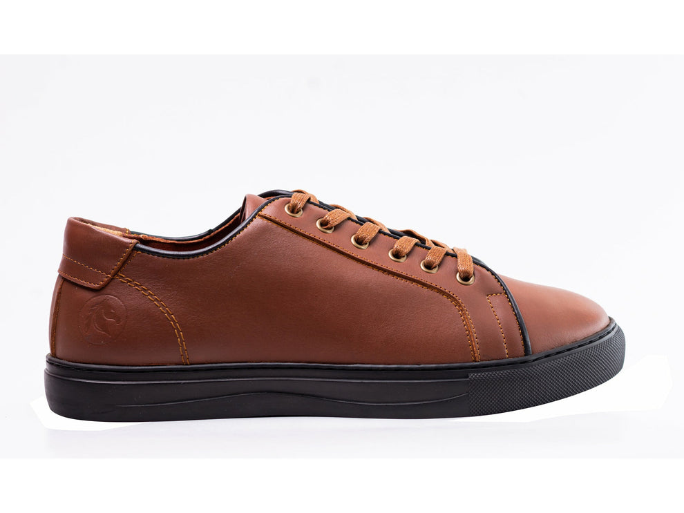 Lace up Sneaker HAVAN A1030