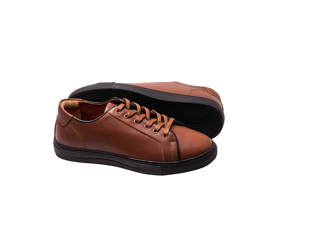 Lace up Sneaker HAVAN A1030